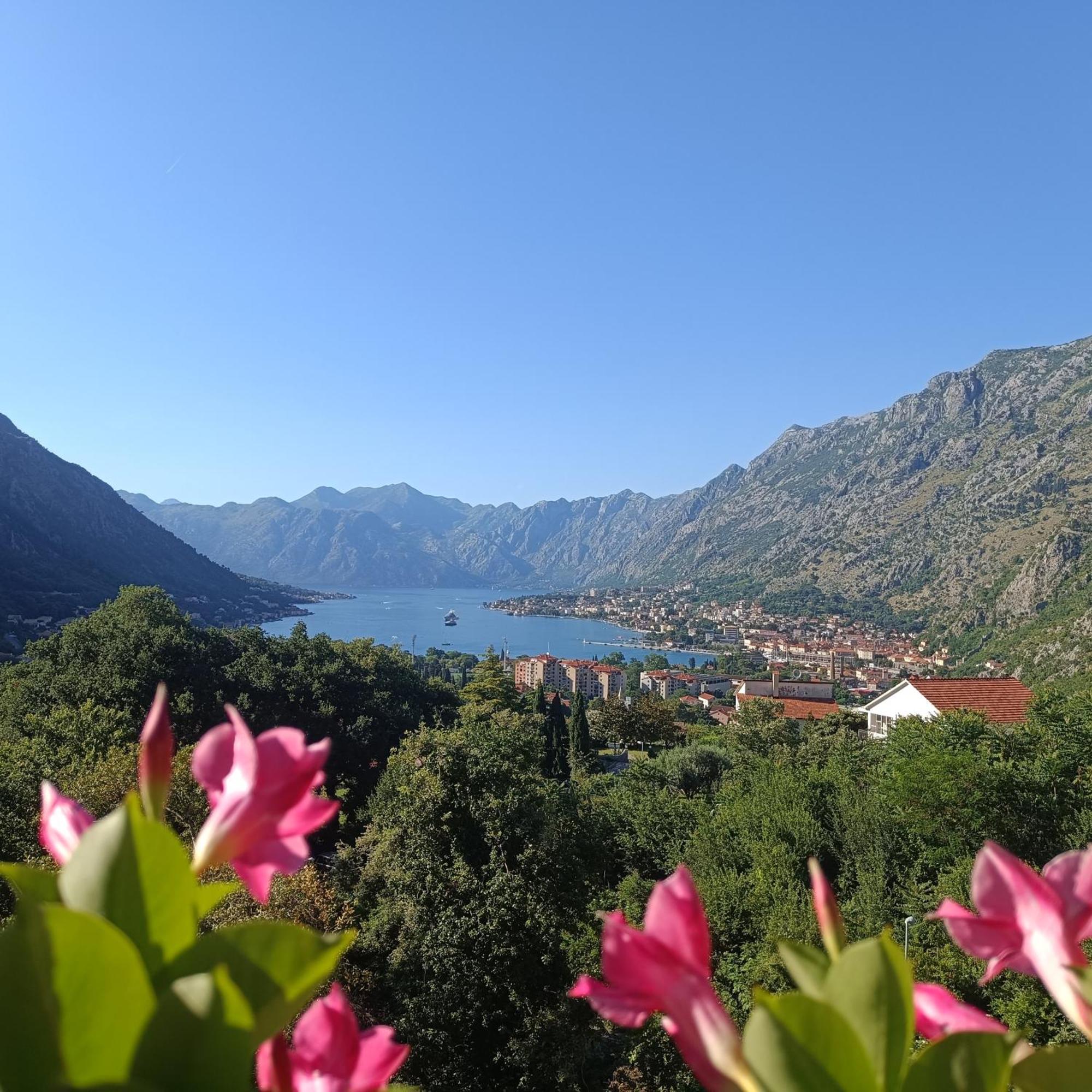 Radgost Kotor Apartments Exterior foto